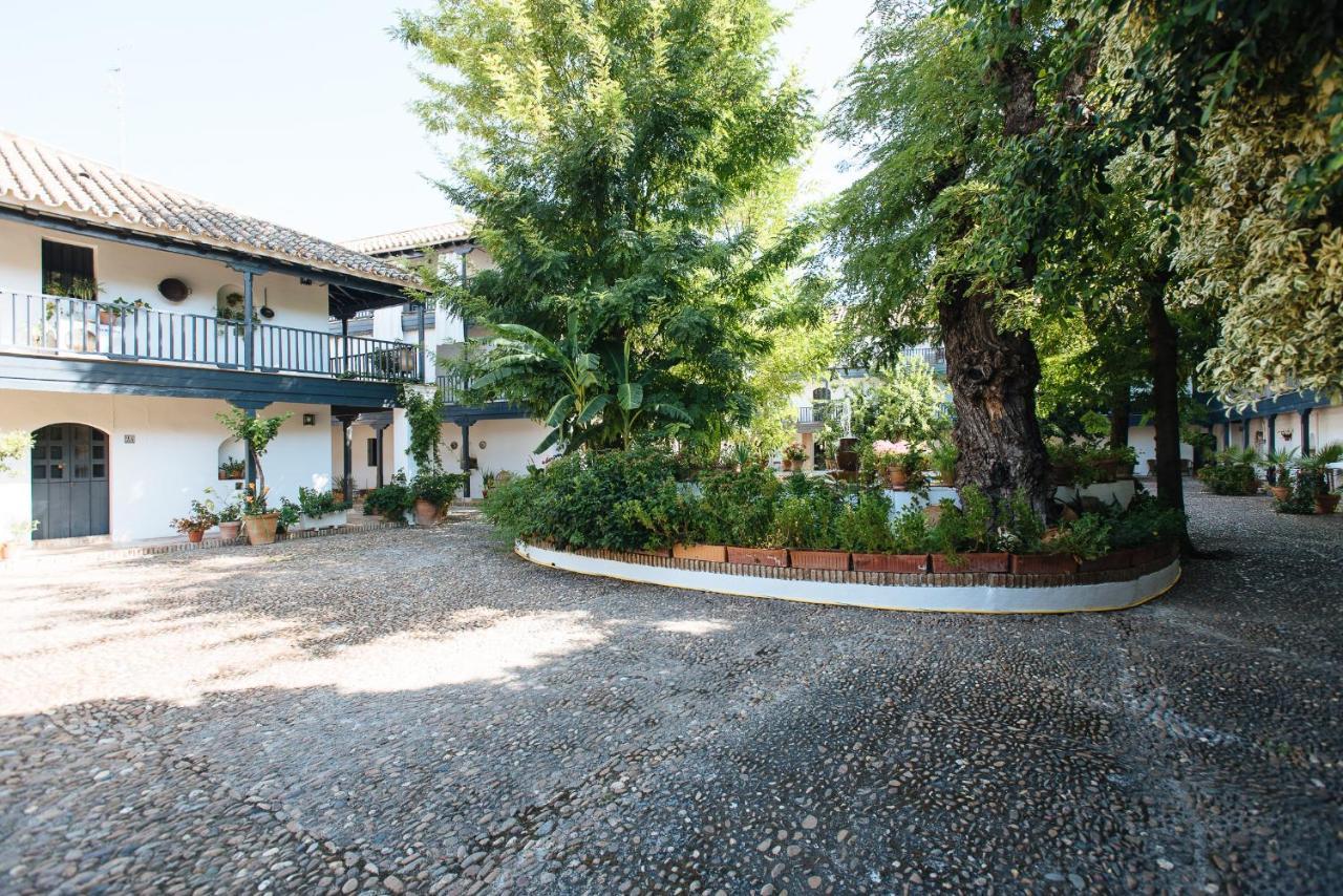 セビリアAitana'S Retreat With Charming Gardenアパートメント エクステリア 写真