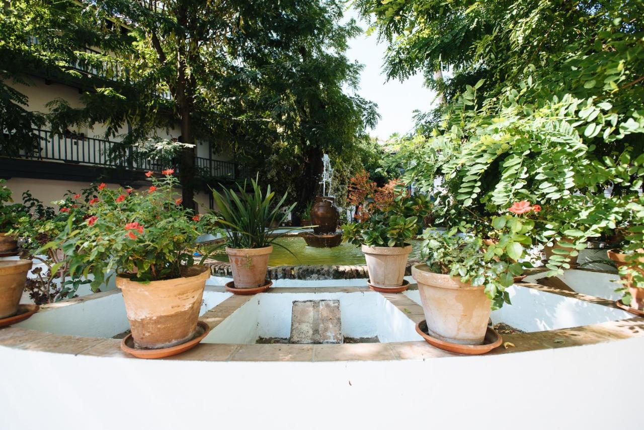 セビリアAitana'S Retreat With Charming Gardenアパートメント エクステリア 写真